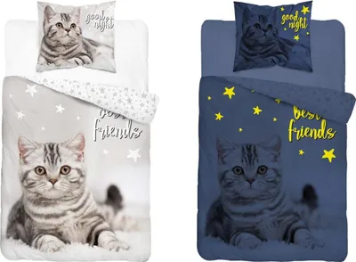 Two different designs of cat-themed bedding sets, one light gray and one dark blue, both featuring a cat and stars.