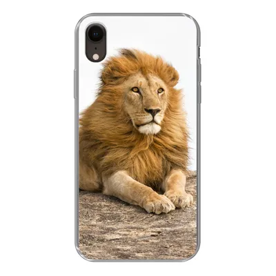 Produktbild von MuchoWow® Handyhülle Schutzhülle Hülle für iPhone XR Löwe - Mähne - Tier Silikon Softcase Handy Hülle - Schutzdeckel