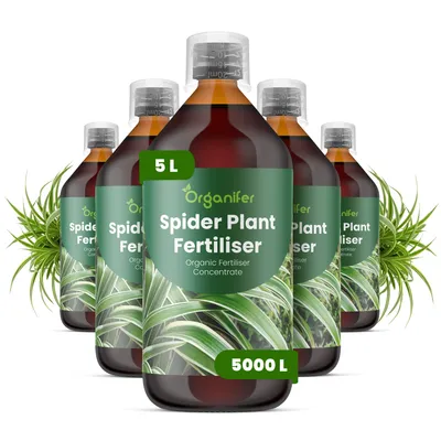 Obrázok produktu pre Zelenec – Tekuté hnojivo 5 x 1 L – NPK 2-1-8 – Vhodné pre zelené rastliny – Podporuje dlhodobú vitalitu, silný rast a zdravé rastliny – Organický produkt
