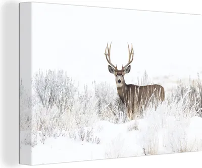 Produktbild von MuchoWow® - Leinwandbilder - Hirsche - Winter - Schnee - Tiere - Jahreszeiten - Weiß, Wandbild, Wanddeko Bilder Wohnzimmer, 30x20 cm