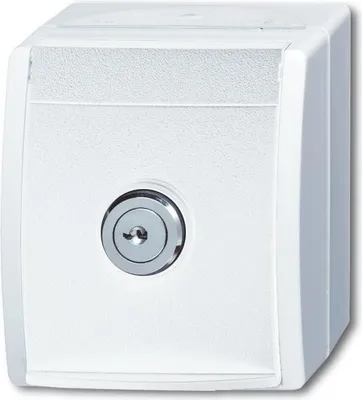 Produktbild von Busch-Jaeger 4011395079638 Steckdose Typ F Weiß (2CKA002083A0833)