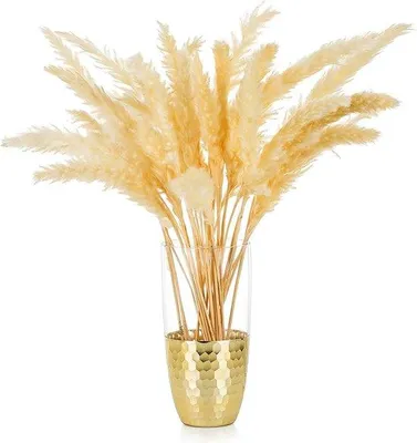 Produktbild von Unyqoos® Glasvase für Pampasgras mit goldener Honigwaben-Optik, große Bodenvase aus Klarglas, 20,5 cm (Ø oben 10 cm / unten 6 cm)