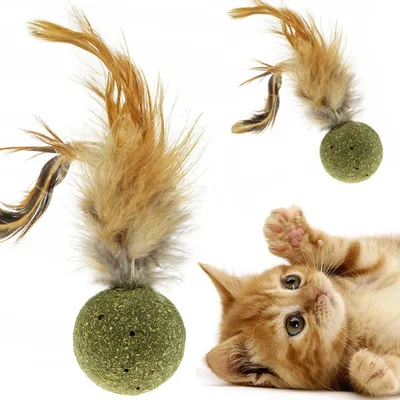 Obrázek produktu pro Hračka pro kočky Catnip Ball s peřím, Catnip Ball, Catnip Balls