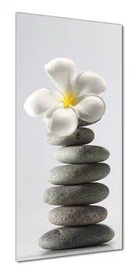 Produktbild von Wallario selbstklebende Duschrückwand 70 x 190 cm mit Motiv Blume auf gestapelten Steinen - Wandverkleidung mit Hochglanzlaminat in Glasoptik
