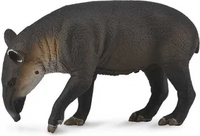Zdjęcie produktu dla COLLECTA Tapir