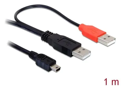 Image de Delock 82447 USB Y-Kabel Delock 2x A -> Mini-B St/St 1.00m