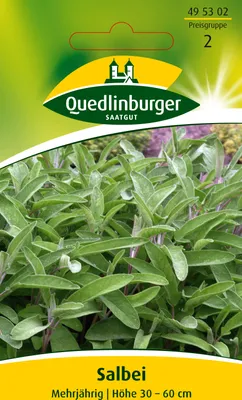 Produktbild von Salbei | Salbeisamen von Quedlinburger