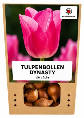 Productafbeelding van Tulpenbollen 'Dynasty' | 20 stuks | Roze tulp - 30-50cm - Ø10-12cm - Multideal - Bloembol - Tuinplant