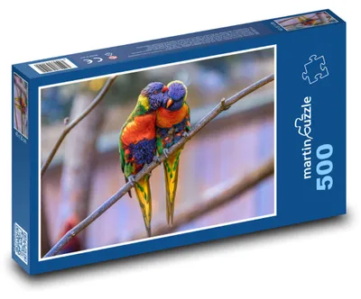 Zdjęcie produktu dla Puzzle 500 Barwne egzotyczne papugi - martinpuzzle
