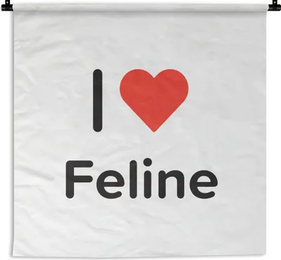 Produktbild von MuchoWow® Wandteppich Wandbehang Ich liebe - Feline - Girl 150x150 cm Tapisserie Dekoration Wandtuch - Wohnaccessoires - Modernes
