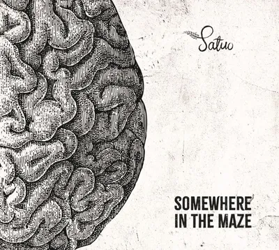 Produktbild von Satuo: Somewhere in the maze