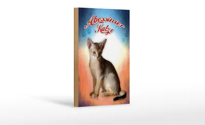 Produktbild von Holzschild Katze 12x18cm Abessinier Katze Wanddeko