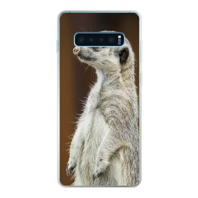 Produktbild von MuchoWow® Handyhülle Schutzhülle Hülle für Samsung Galaxy S10 Lite Erdmännchen - Tier - Spiel Silikon Softcase Handy Hülle - Schutz