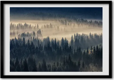 Produktbild von Bild - Bilder - Bilderrahmen - 70 cm x 50 cm - MDF-Rahmen, Wandkunst den Wald Nebel über