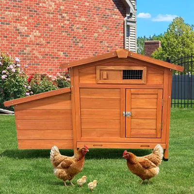 Obrázok produktu pre Kurník na pilótach, drevený odkladací box na vajíčka, chráni pred predátormi, zvýšené hniezdo, ľahko sa čistí. Zlatá farba