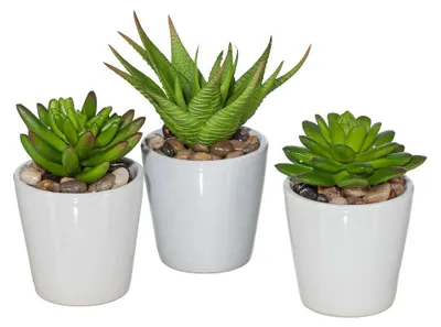 Produktbild von Künstlicher Sukkulentenmix im Topf. 3er Set Kunstpflanzen ca.11-13cm