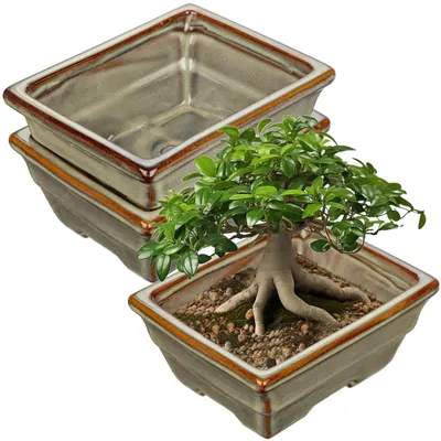 Productafbeelding van Solidchoice - Set van 2 Keramische Bonsai Potten met Afvoergaatjes voor Binnenplanten