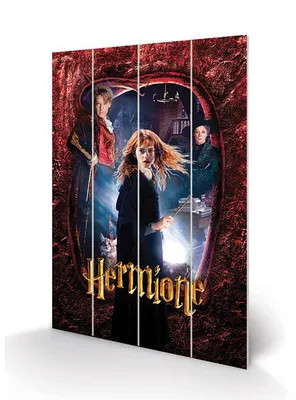 Obrázek produktu pro HARRY POTTER - Holzdruck 40x59cm - Hermine