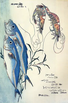 Obrázek produktu pro Utagawa Hirošige Art Print Obraz - Makrela a krevety, 1834-35 (120 x 180 cm)