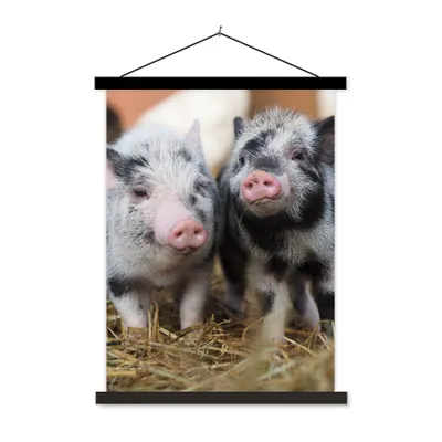 Produktbild von MuchoWow® Textilposter Schwein - Tiere - Ferkel 90x120 cm mit schwarzem Rahmen - Dekoration