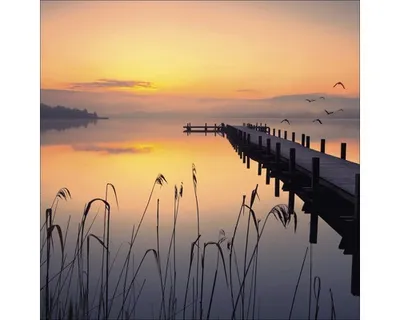 Produktbild von Glasbild Evening Atmosphere GLA1297 80x80 cm