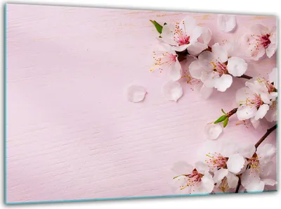 Produktbild von Glas Herdabdeckplatten Schneidebrett Universal 30x22cm Blumen