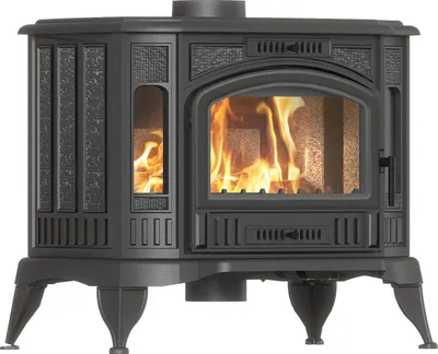 A black cast iron freestanding stove with a fire burning inside, shown from the front.