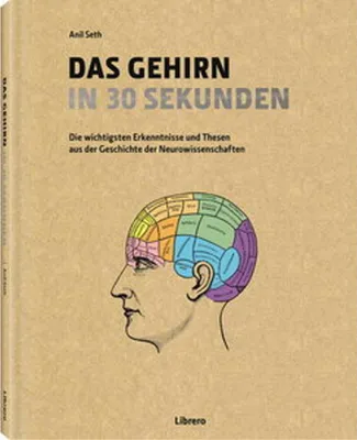 Image de Das Gehirn in 30 Sekunden