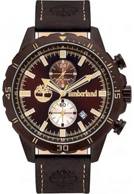 Produktbild von Timberland DUNFORD TBL16003JYBN.12 Herrenarmbanduhr