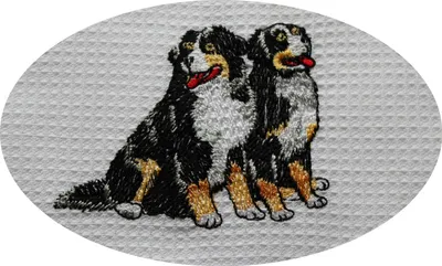 Produktbild von Triolino Waffelpique-Geschirrtuch Küchentuch 100% Baumwolle schöne Stickerei, Grösse:50 cm x 70 cm, Farbe:Hund