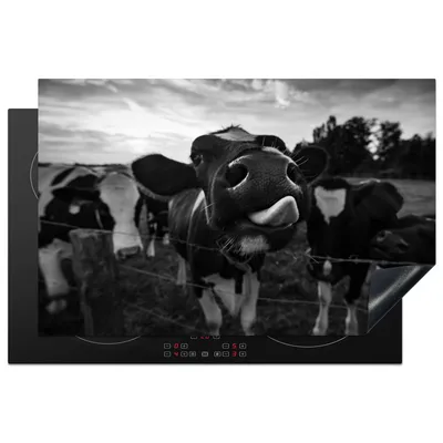 Obrázek produktu pro KitchenYeah® Krycí deska na sporák černá - bílá - kráva - zvířata, 80x52cm, dekorace do kuchyně, keramická krycí deska, krycí deska na varnou desku