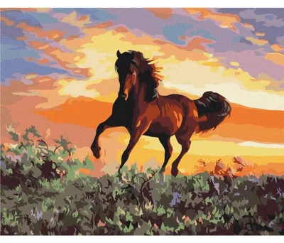 Immagine prodotto di Dipinti da colorare seguendo i numeri BRUSHME 40x50 cm Cavalli