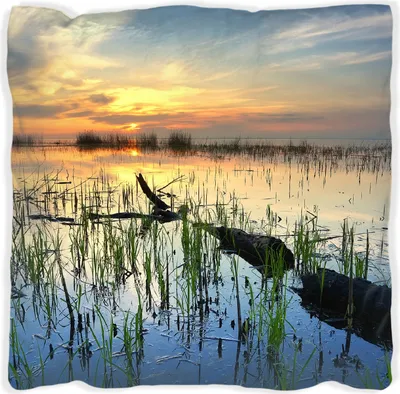 Produktbild von Wallario Premium Kissen, weiche Oberfläche, mit Motiv Schilf am Abend - Sonnenuntergang über der Seelandschaft, Größe: 40 x 40 cm, mit weißer Rückseite