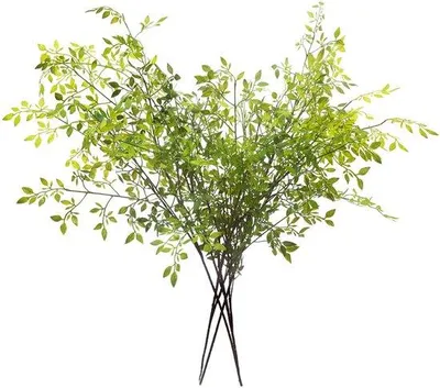 Image de Branches de nandina vertes, 110 cm, lot de 4, pour la décoration de vases