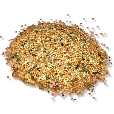 A pile of birdseed with mealworms mixed in, on a white background.