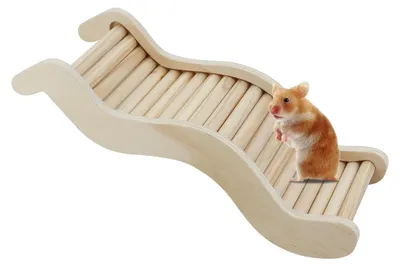 Image de Jouets en bois pour hamsters, avec échelle et ponts, idéaux pour les petits animaux de compagnie