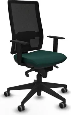 Image de Bürostuhl Piqueras y Crespo 1D066G0 grün
