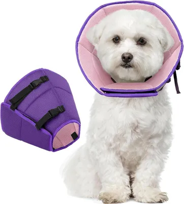 Image de Collier Kuoser pour chien Protection contre les fuites Collier de protection Réglable Violet M