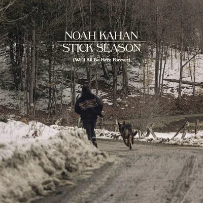 Produktbild von Noah Kahan - Stick Season (Black Ice Coloured) (We'll All Be Here Forever) (3 LP)