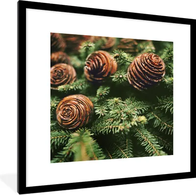 Produktbild von MuchoWow® Gerahmtes Poster Eine Nahaufnahme von Tannenzapfen am Weihnachtsbaum 40x40 cm - Poster mit Schwarzem Bilderrahmen Wandposter Rahmen Foto Bilder - Poster - Plakat im Rahmen
