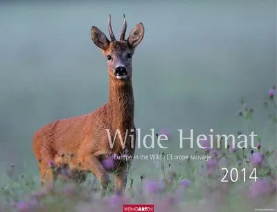 Produktbild von Kalender Wilde Heimat 2014: Seltene und scheue Tiere Mitteleuropas