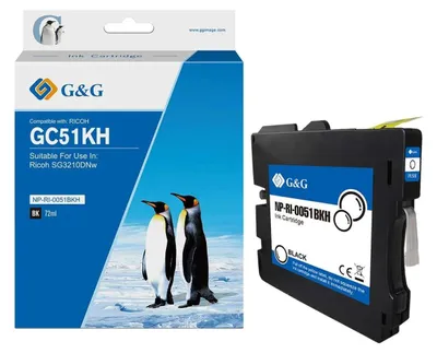 Imagen del producto de G&G 19656 G&G Tintenpatrone kompatibel Ricoh GC51KH/ 405862 Schwarz