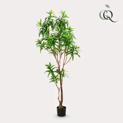 Image de Green boutiQ - Plante artificielle - Dracaena - Drakenboom - 190 cm - Vert - Sans entretien - Haute qualité