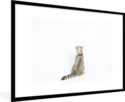 Produktbild von MuchoWow® Gerahmtes Poster Katze - Haustiere - Fell 90x60 cm - Poster mit Schwarzem Bilderrahmen Wandposter Rahmen Foto Bilder - Wanddekoration - Fotos