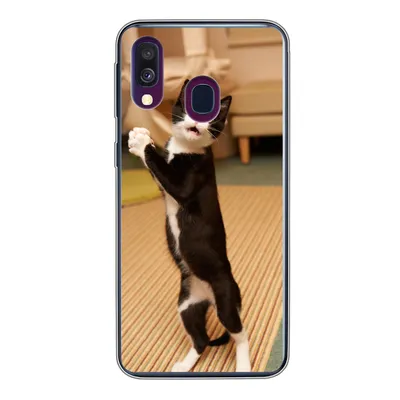 Produktbild von MuchoWow® Handyhülle Schutzhülle Hülle für Samsung Galaxy A40 Katze - Wohnzimmer - Schwarz Silikon Softcase Handy Hülle - Handy-Tasche