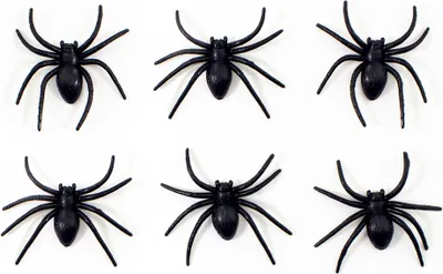 Produktbild von Oblique Unique 6x Spinnen groß Halloween Fasching Karneval Tisch Deko - schwarz