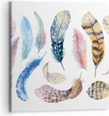 Produktbild von Bild auf Leinwand - Leinwandbild - Federn Vögel Tiere Komposition - 70x70cm - Wand Bild - Wanddeko - Leinwanddruck - Bilder - Kunstdruck - Wanddekoration - Leinwand bilder - Wandkunst - AC70x70-2894