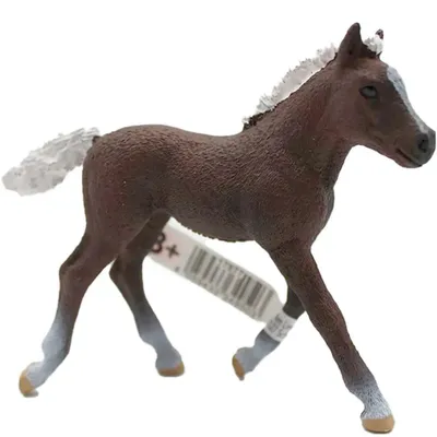 Produktbild von Schleich -  Schwarzwälder Fohlen