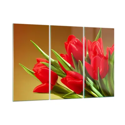 Produktbild von Bilder auf glas - Tulpen Blumen Feld Plantage - 105x70cm - Glasbilder - Wandbilder - Kunstdruck - zum Aufhängen bereit - Wanddekoration aus Glas - Glas Bilder - Wandbild auf Glas - GCE105x70-0962