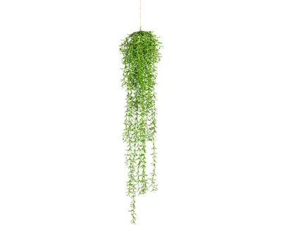 Produktbild von Kunstpflanze Nerifoliahänger Höhe: 110 cm grün